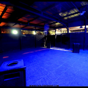 #Fausto_Discotheque